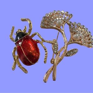 Red Beetle and Floral Brooch Set